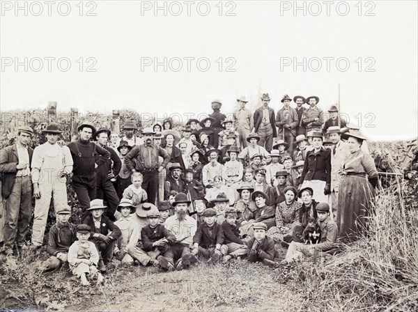 Oregon Hop Pickers