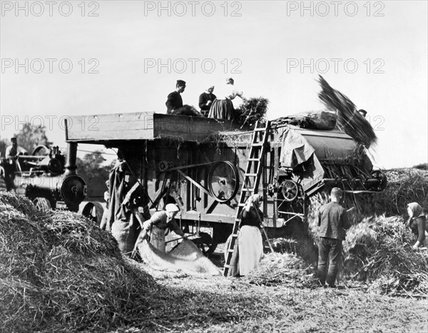 Threshing Oats In Scotland