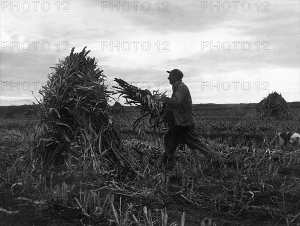 Farming Dawn To Dusk