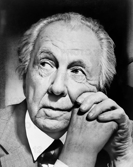 Potrait Of Frank Lloyd Wright