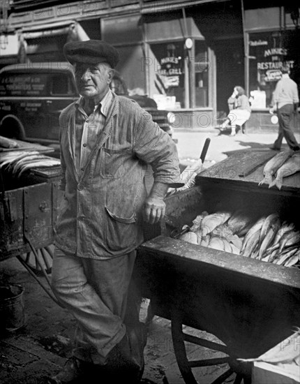 Street Fish Vendor