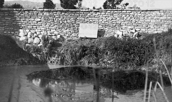 La Brea Tar Pits