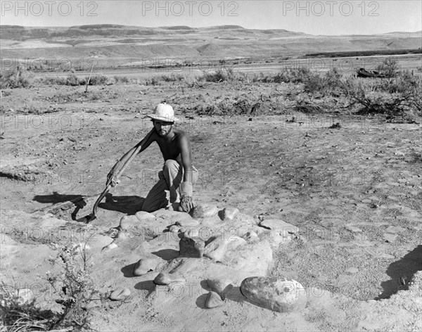 Archeologist At Work