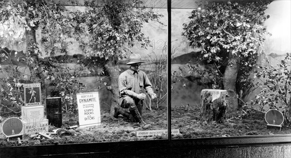 Dynamite Window Display