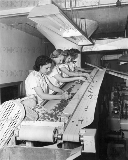 Women Working In Factory