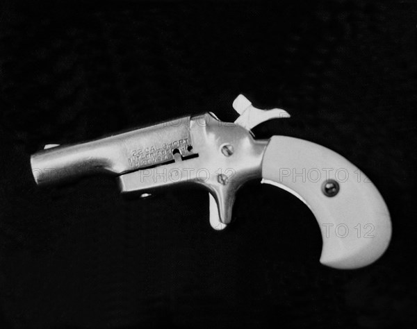 Old 22 Caliber Derringer