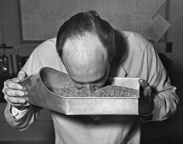 Smelling Grain Inspector