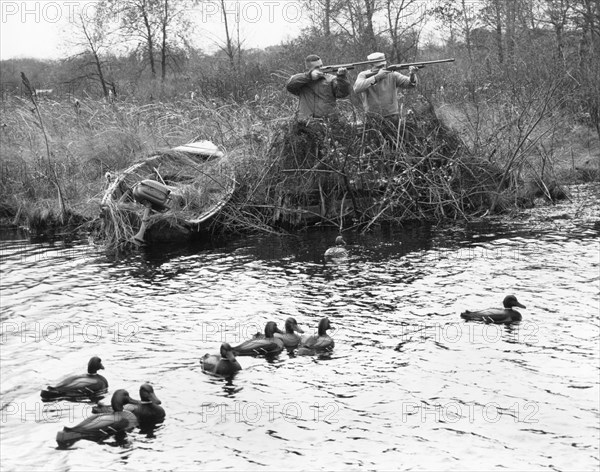 Duck Hunters With Decoys