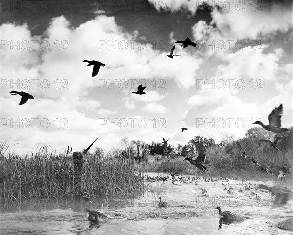 Duck Hunter Taking Aim