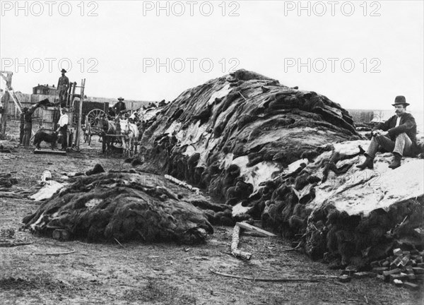 Dodge City Buffalo Hides