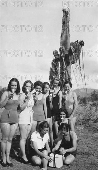 Arizona Desert Christmas Scene