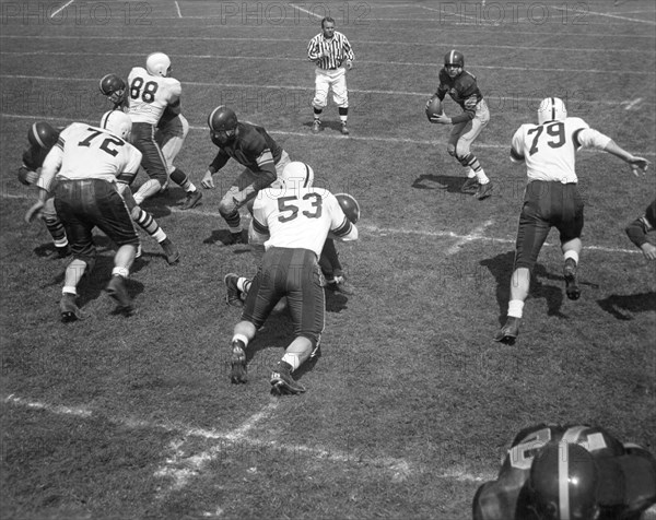 Quarterback Ready To Pass