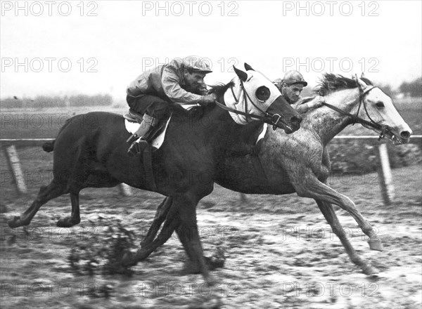 Horse Race In Los Angeles