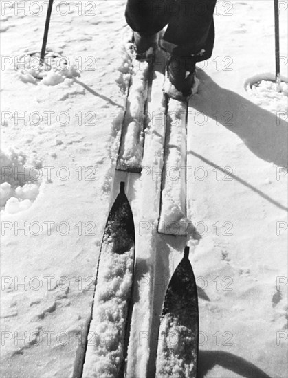 Cross Country Skiing