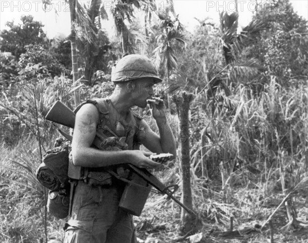 Vietnam Pineapple Snack