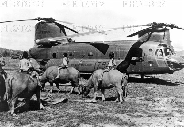 Helicopters And Water Buffalos