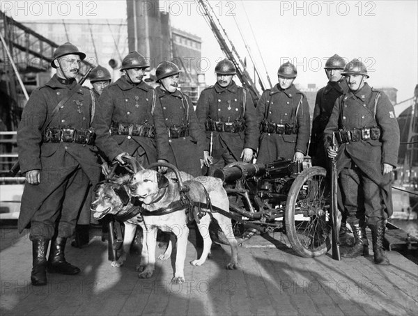 Belgian Soldiers In NY