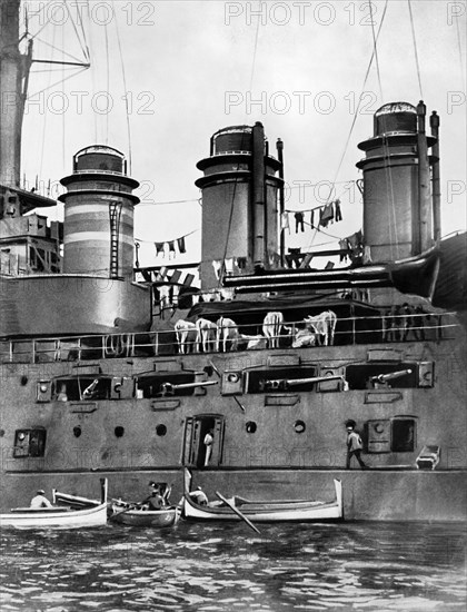 Wartime Battleship Domestics