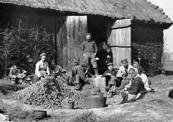 Peeling Potatoes For Soldiers