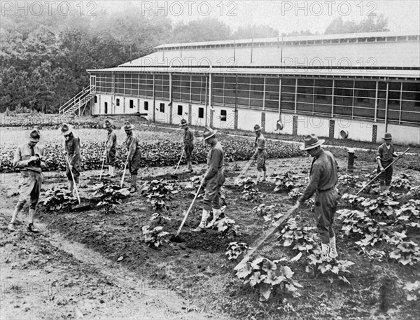 Shell Shocked Troops Gardening