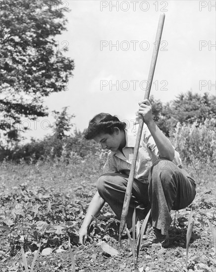 WWII Victory Garden