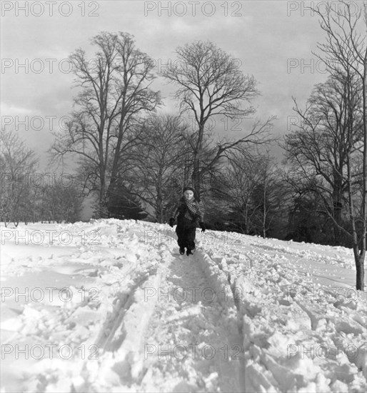 Winter Snow Trail