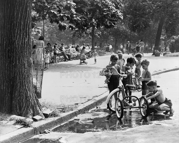 Children Playing In Park