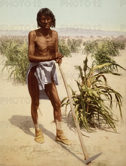 Hopi Man With A Hoe