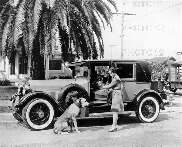 Actress And Dogs Go On Trip