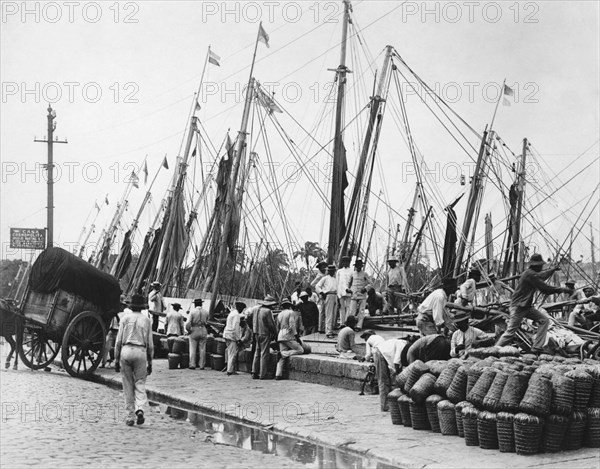 Brazilian Dock Scene