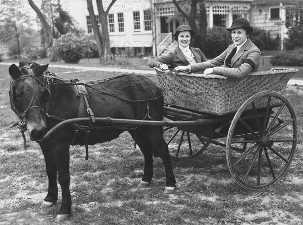 Two Women In A Pony Cart