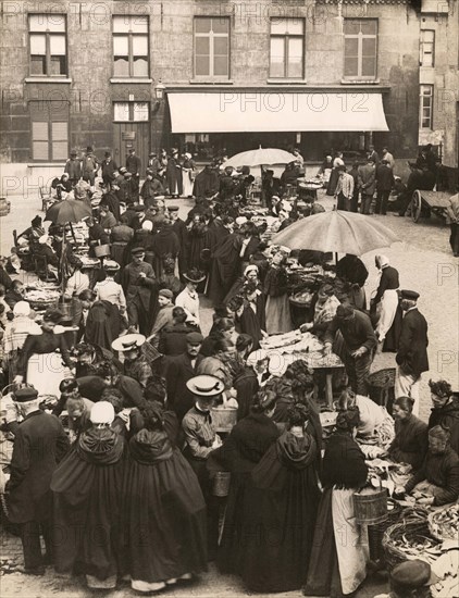 Belgian Fish Market