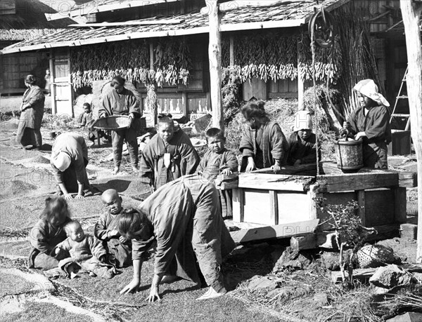 Japanese Harvest Scene