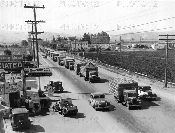 Lettuce Truck Armed Escorts