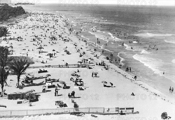 Winter Scene At Miami Beach