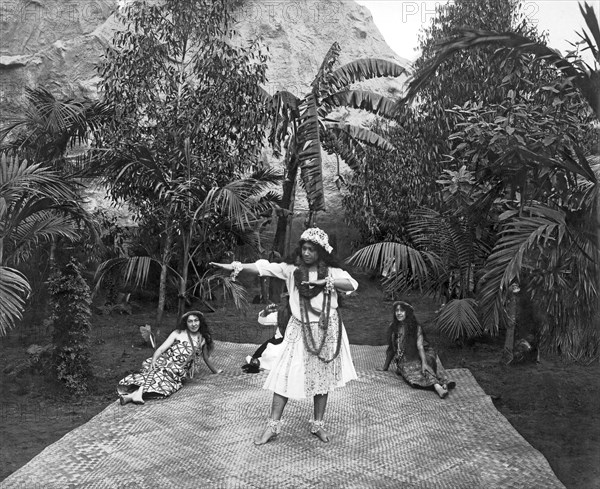 A Hawaiian Woman Dancing