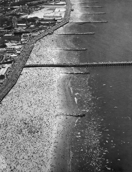 Aerial View Of Coney Island