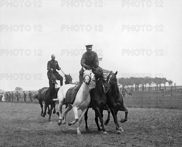 Mounted Police Stunts