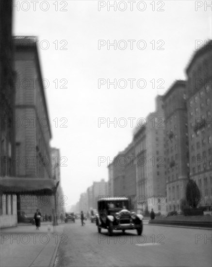 Park Avenue In NY