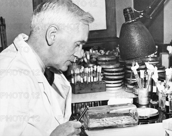 Professor Alexander Fleming