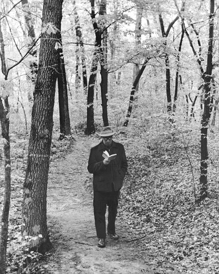 Man Reading In The Woods