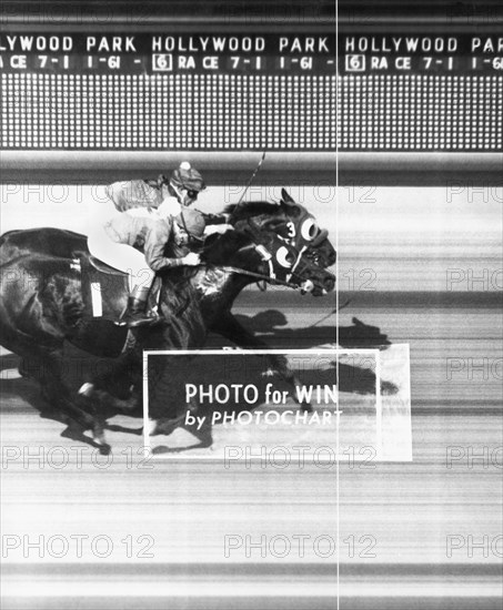 Horse Race Has Photo Finish