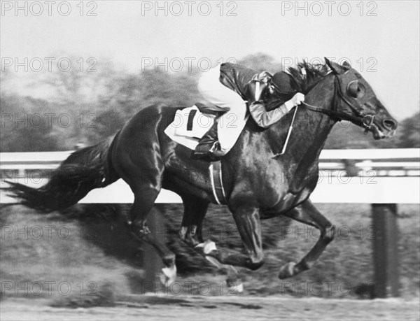 Horse Racing At Pimlico Track