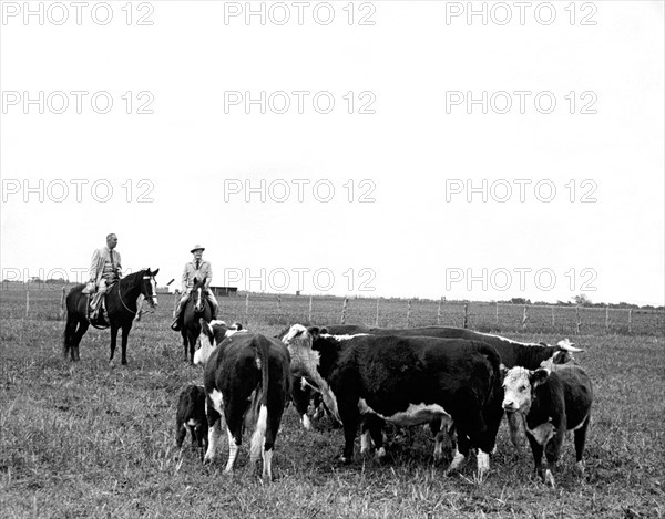 LBJ & Humphrey On Horseback