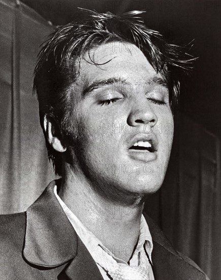 Portrait Of Elvis Presley