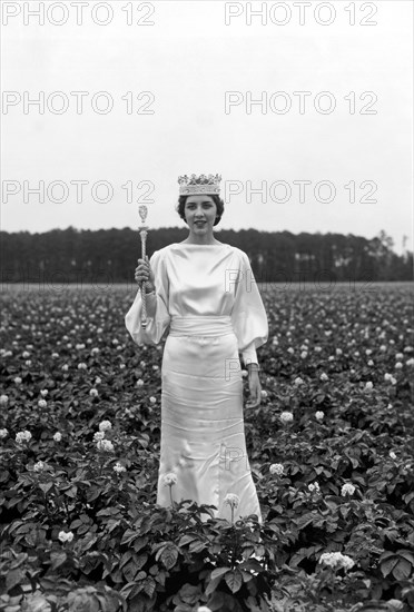 The Potato Blossom Queen