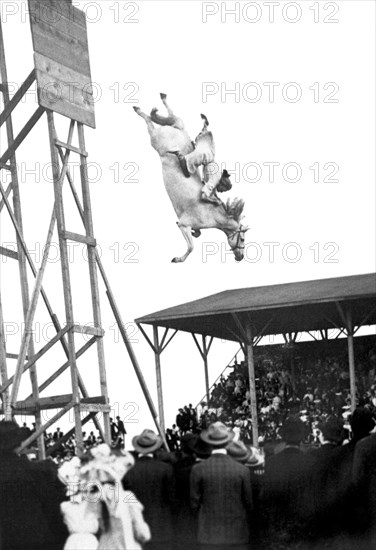 Amazing Horse Stunt Dive