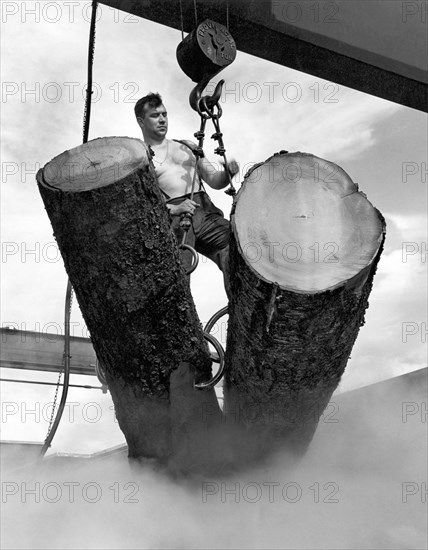 Lumber Mill Worker