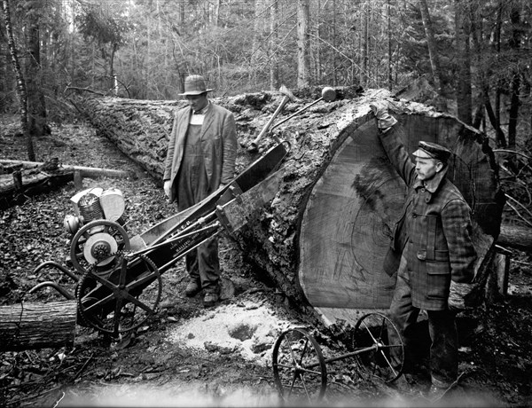 Lumberjack With Early Chainsaw