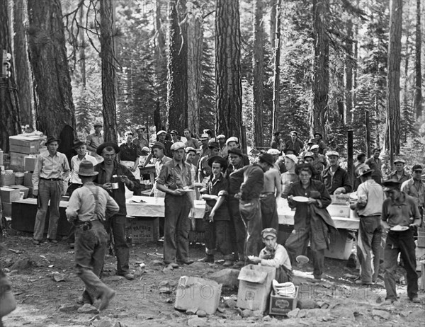 Logging Crew Lunch